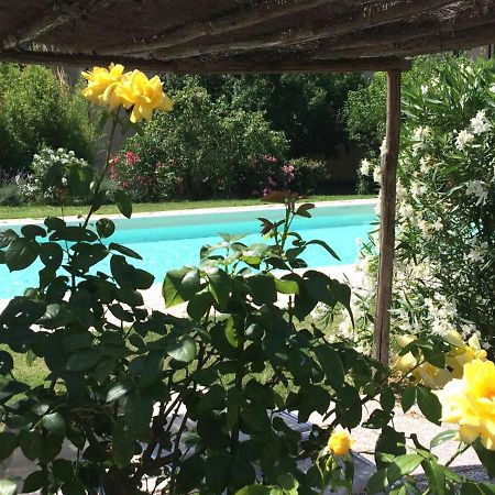 Agriturismo Lupo Vecchio Гроссето Екстер'єр фото