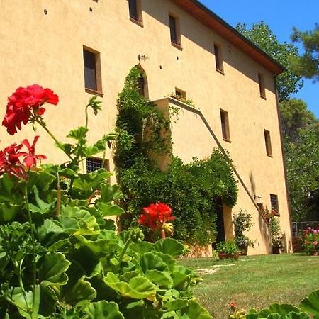 Agriturismo Lupo Vecchio Гроссето Екстер'єр фото