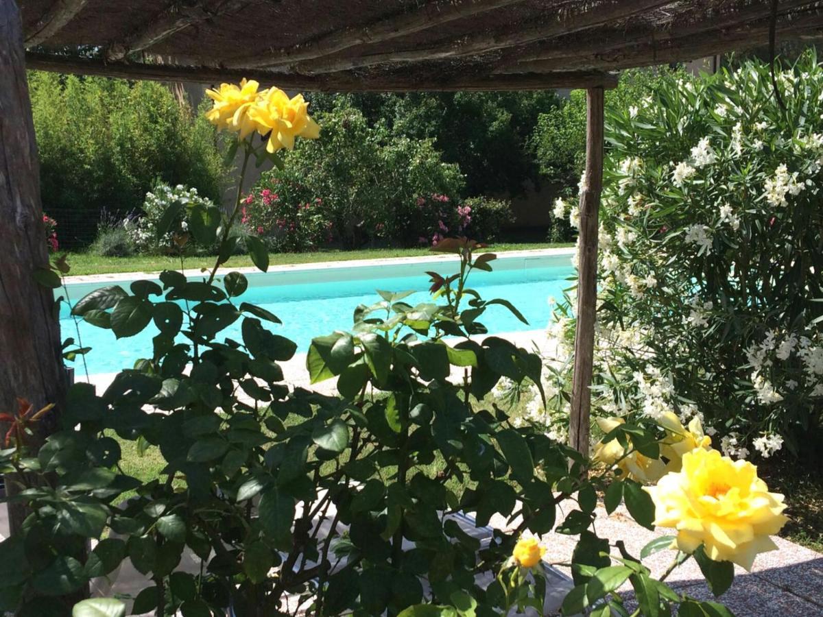 Agriturismo Lupo Vecchio Гроссето Екстер'єр фото