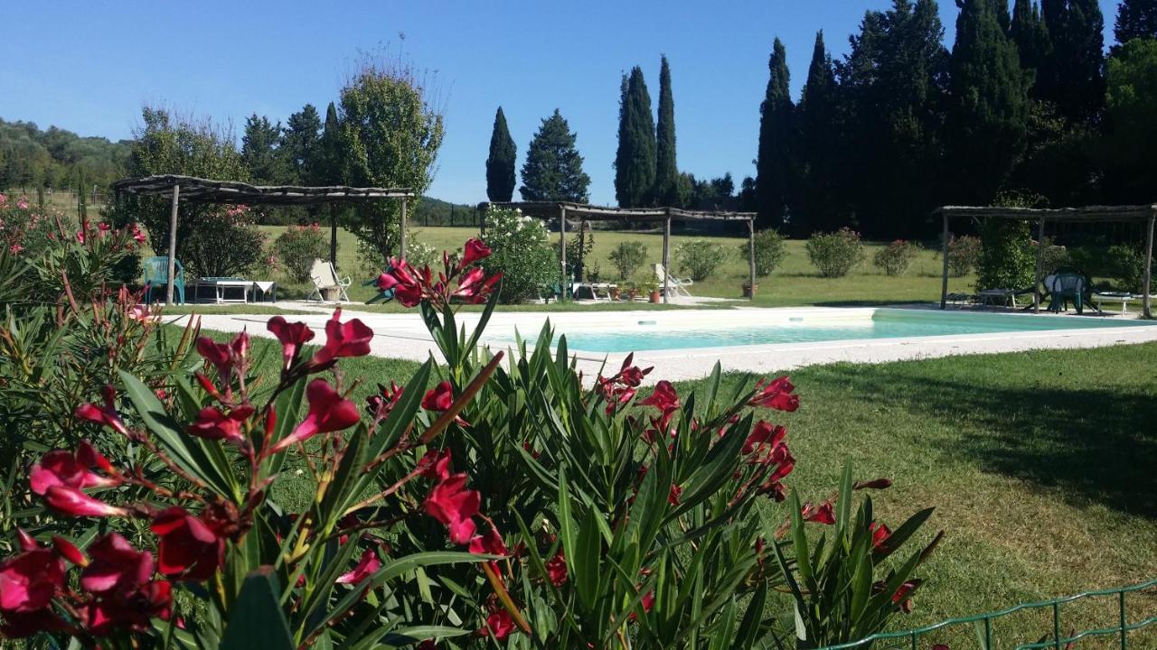 Agriturismo Lupo Vecchio Гроссето Екстер'єр фото